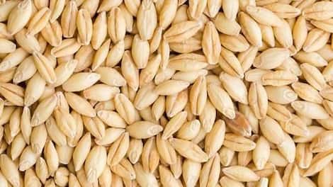 Digestion: Fiber content of barley can help improve digestion